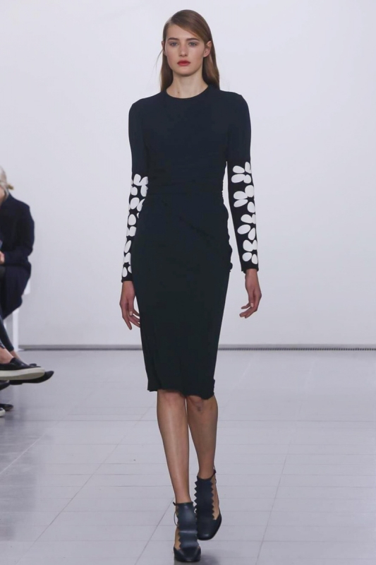 Sanne Vloet shows London Fall 2014 Issa